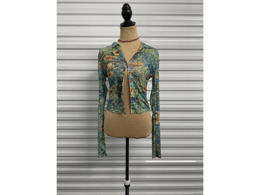 Y2K JPG inspired Sheer Long Sleeve Top
